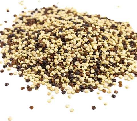 Quinoa Tricolore en vrac BIO